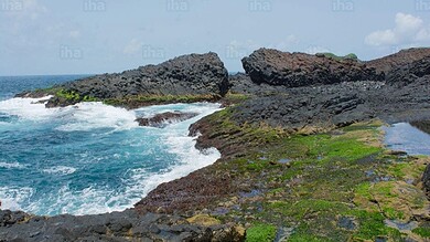 Rocky coastline with waves crashing and green moss in Senegal's archipelago.