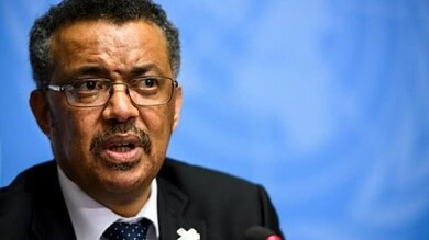 أدهانوم غيبريسوس