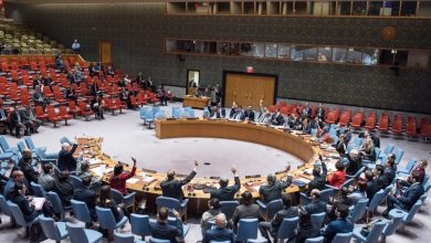 Le Conseil de sécurité de l'ONU