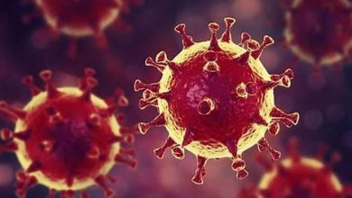 Le coronavirus