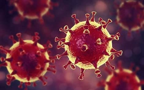 Le coronavirus