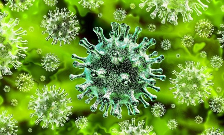 L'épidémie de coronavirus