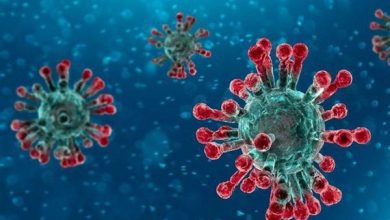 L’épidémie de coronavirus