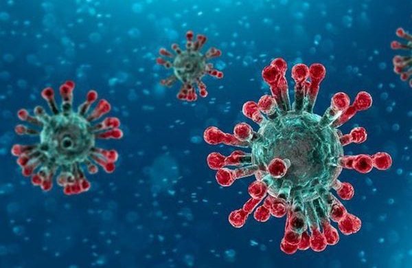 L’épidémie de coronavirus