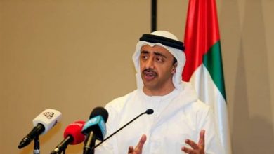 وزير الخارجية الإماراتي عبد الله بن زايد
