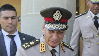 الفريق محمد فريد