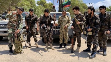 Le Quartette Libye mercenaires