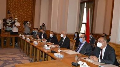 المشاورات السياسية بين مصر وتركيا
