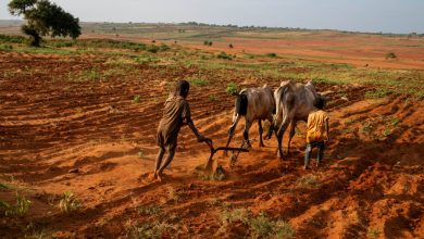 Madagascar La famine