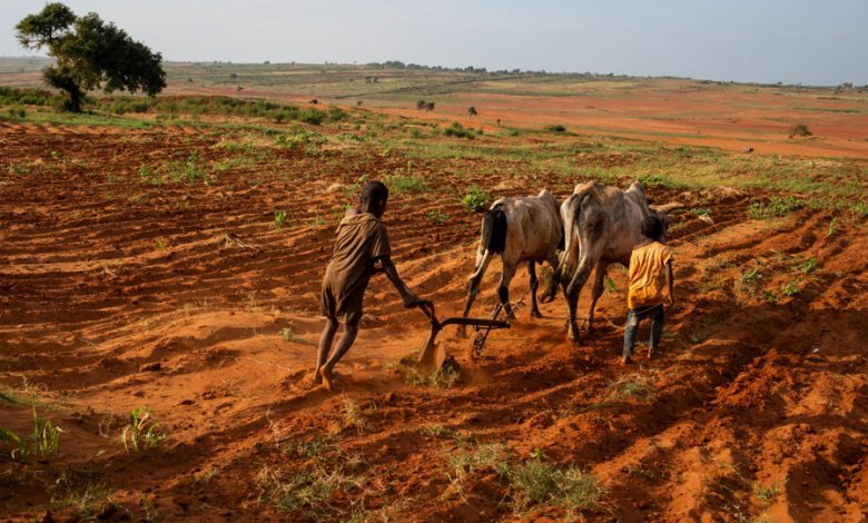 Madagascar La famine