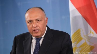 Sameh Shoukry