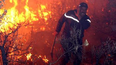 Algérie incendies