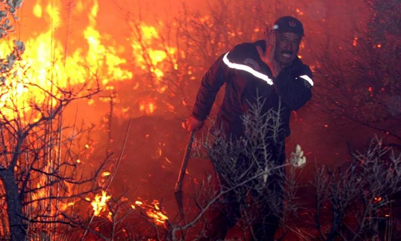 Algérie incendies