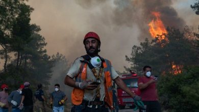 Turquie incendies forêt