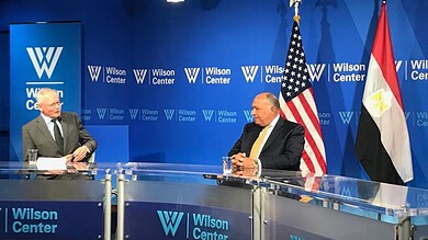 وزير الخارجية المصري