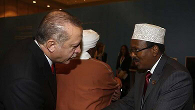 فرماجو وأردوغان