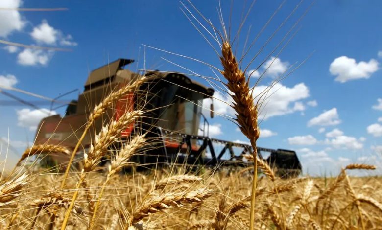 La famine l'Afrique