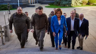 Nancy Pelosi Zelensky Kiev