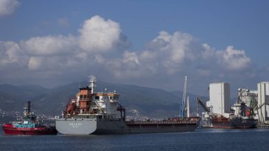 روسيا تعلّق مشاركتها في "صفقة الحبوب" بسبب "هجوم إرهابي" نفذته أوكرانيا على ميناء سيفاستوبول