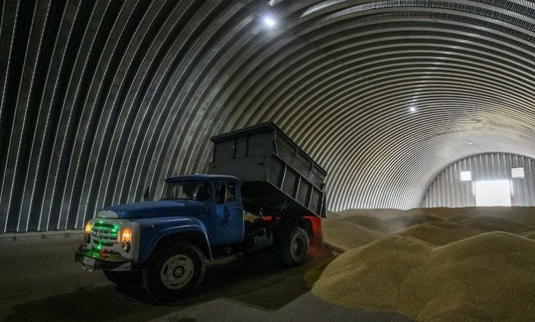 روسيا تكشف أن البلدان الفقيرة تحصل على 2.6% من صفقة الحبوب