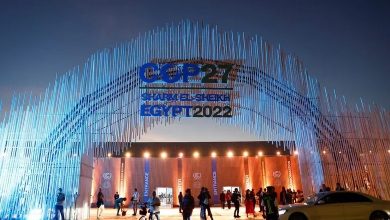 COP 27