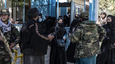 Les talibans femmes l’université