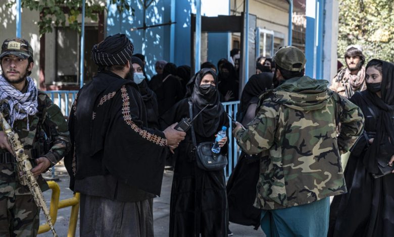 Les talibans femmes l’université