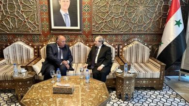 Le ministre égyptien des Affaires étrangères visite la Syrie