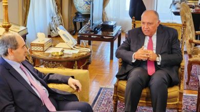 وزير الخارجية المصري سامح شكري مع نظيره السوري فيصل المقداد
