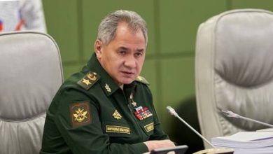 Russia's Shoigu