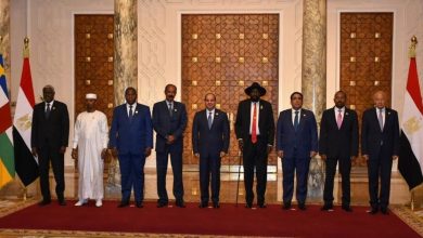 دول جوار السودان تؤكد على ضرورة حماية الدولة السودانية ومؤسساتها