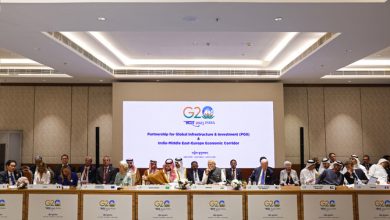 Arab guests at G20 summit