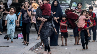 L’ONU: Plus de 260000 personnes déplacées de la bande de Gaza