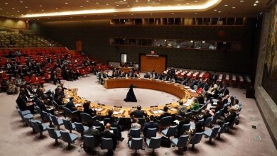 Security Council rejects Russian draft resolution on Gaza