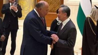 Egypt FM to Chinese counterpart
