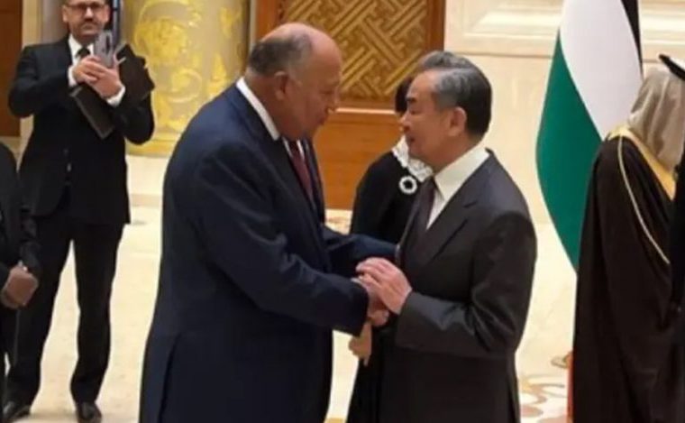 Egypt FM to Chinese counterpart