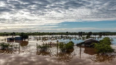 From drought to deluge