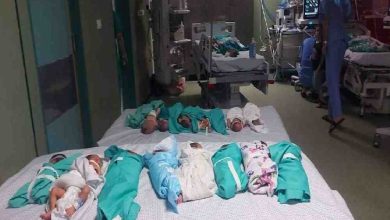 اتصالات مصرية اسرائيلية وأميركية لإجلاء الأطفال الخدج من مستشفى الشفاء
