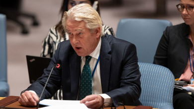 منسق الأمم المتحدة الخاص لعملية السلام في الشرق الأوسط تور وينسلاند خلال جلسة مجلس الأمن