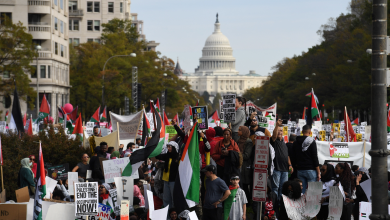 مظاهرات حاشدة في أميركا تطالب بوقف حرب الإبادة ضد الفلسطينيين