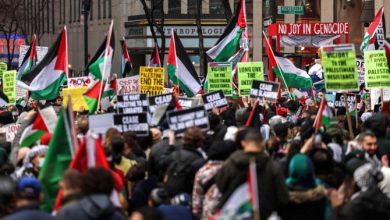 Growing public support for Palestinians