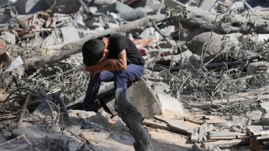 Over 20,400 Martyrs in Gaza