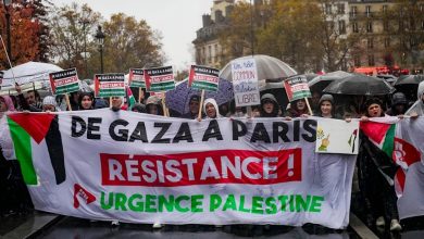 Pro-Palestine Activists