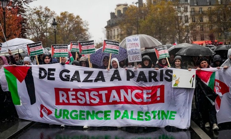 Pro-Palestine Activists