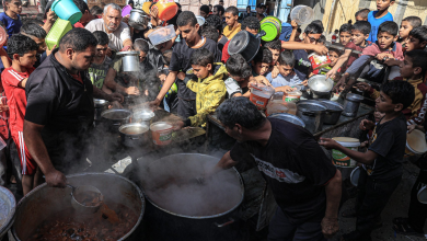 الاتحاد الأوروبي يعرب عن صدمته العميقة من مستويات انعدام الأمن الغذائي في قطاع غزة