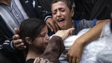 'Israel' killed 22,000 Palestinians