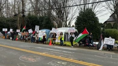 Pro-Palestinian Protesters