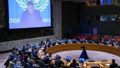 UN Security Council