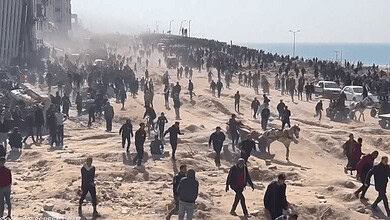 100+ Martyrs in Gaza's Kuwait Roundabout Massacre