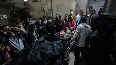 IOF Strike in Gaza Kills Several Foreign Aid Workers
